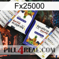 Fx25000 12